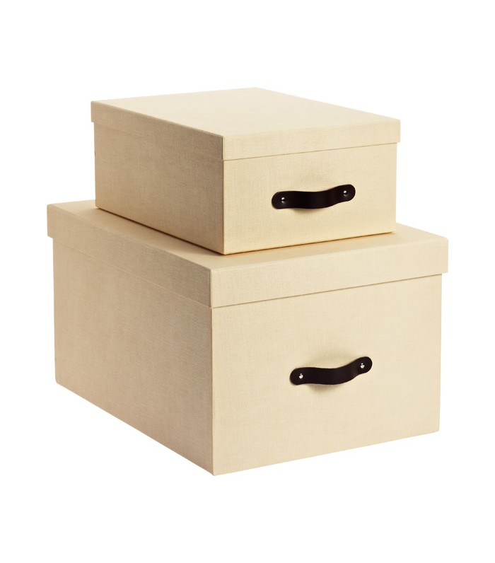 The Container Store Bigso Marten Storage Boxes