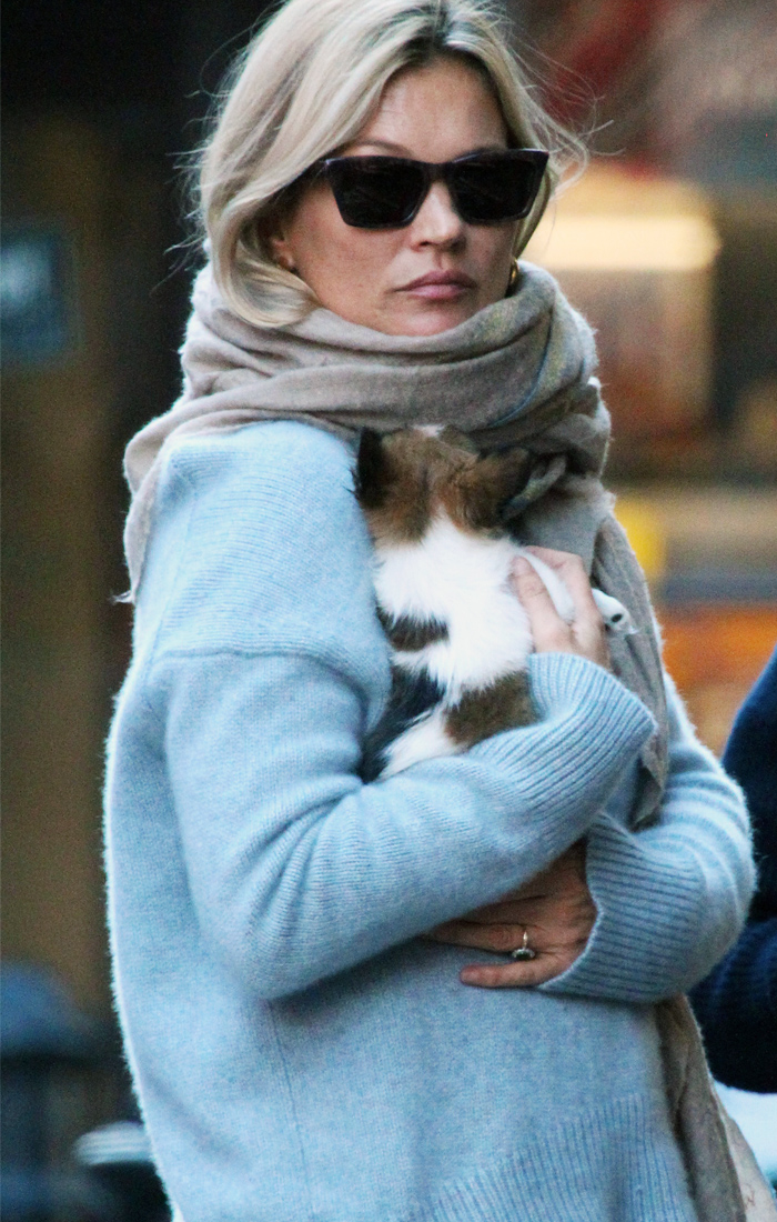 Kate Moss wearing blue jumper with tiny puppy