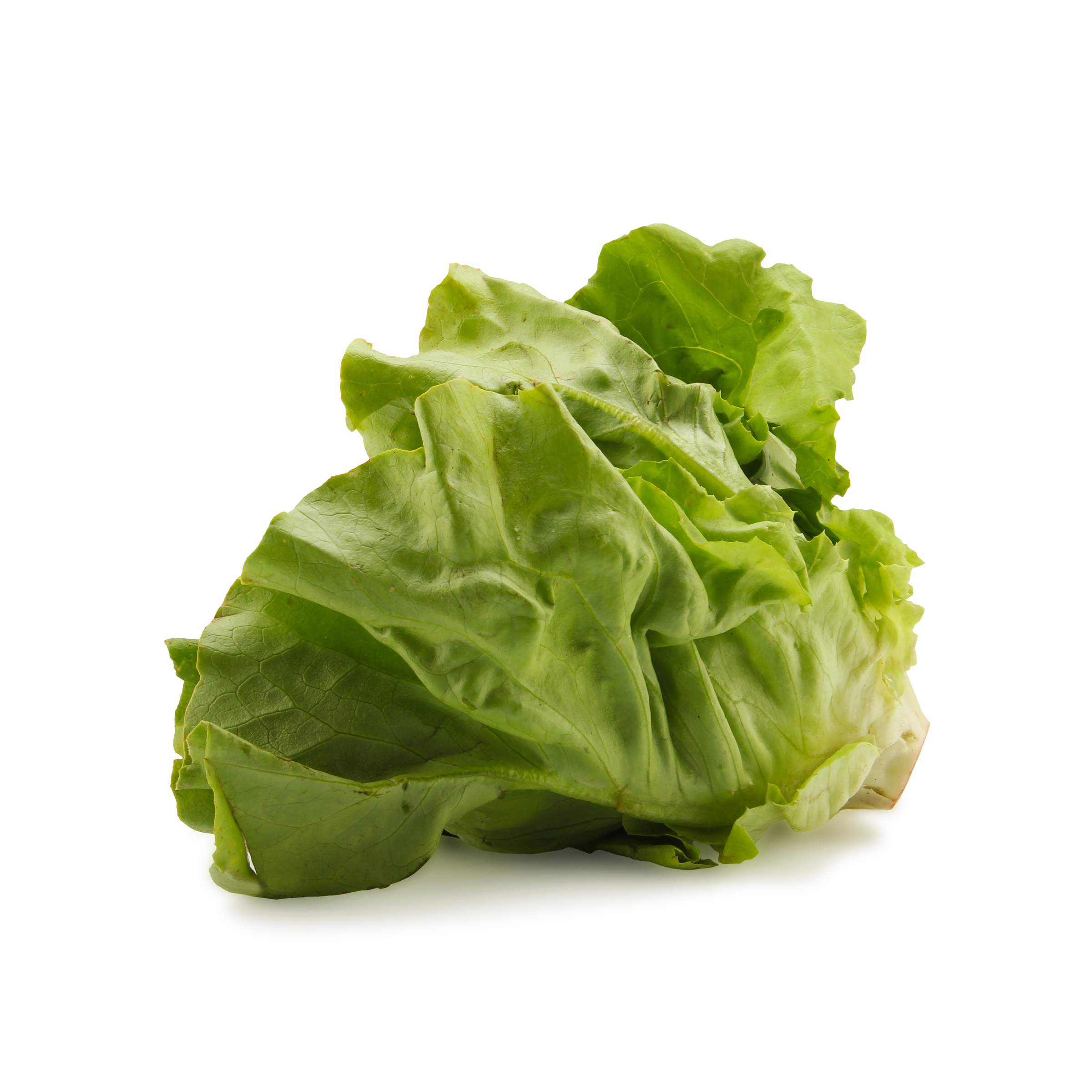 laveste Carb grøntsager: salat