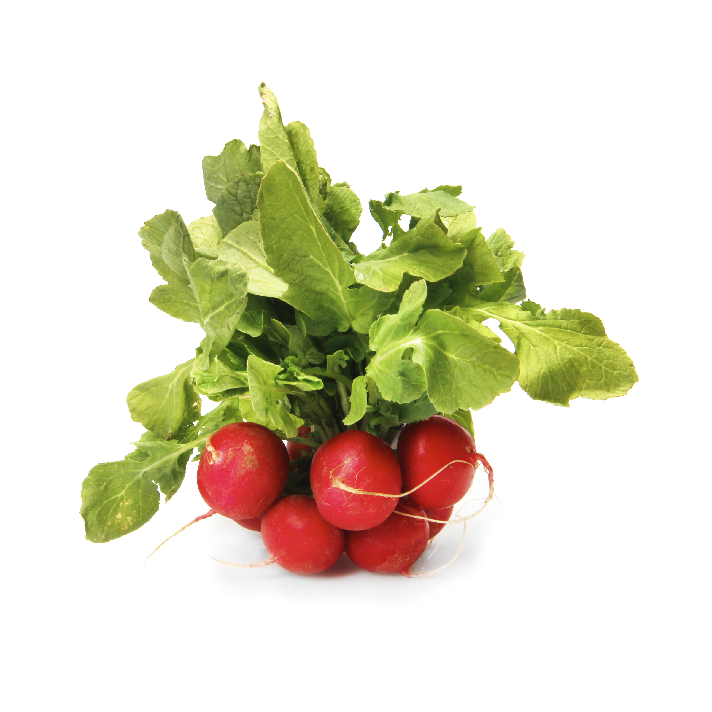 laveste Carb grøntsager: radise