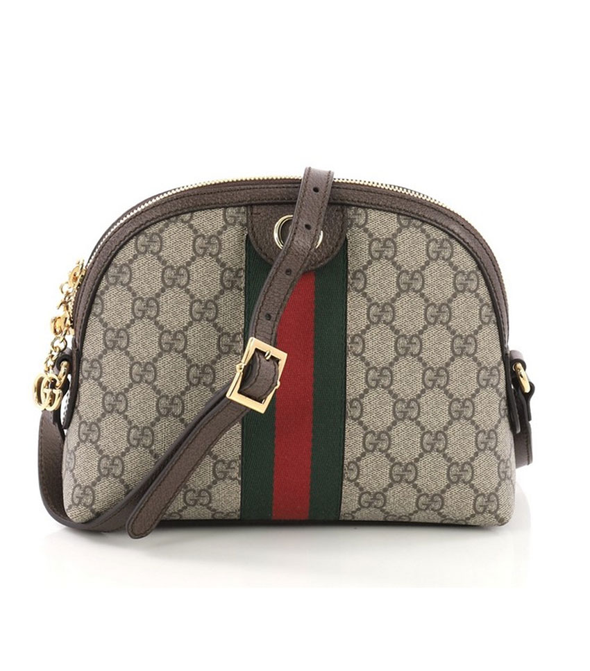 Why Gucci Monogram Bags Are Worth the 