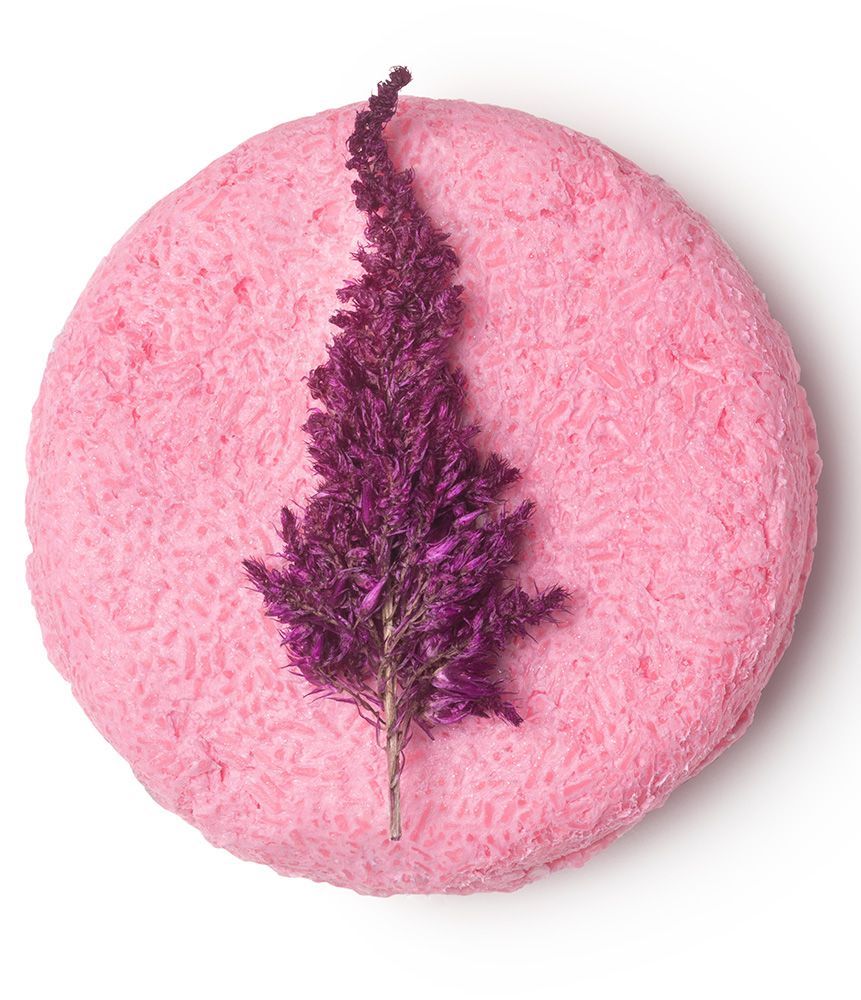 All Our Fashion Friends Love the Lush Shampoo Bars | Who What Wear UK