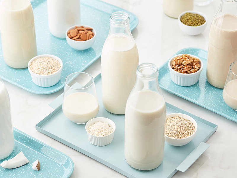 A Complete Guide to the Best Milk Alternatives
