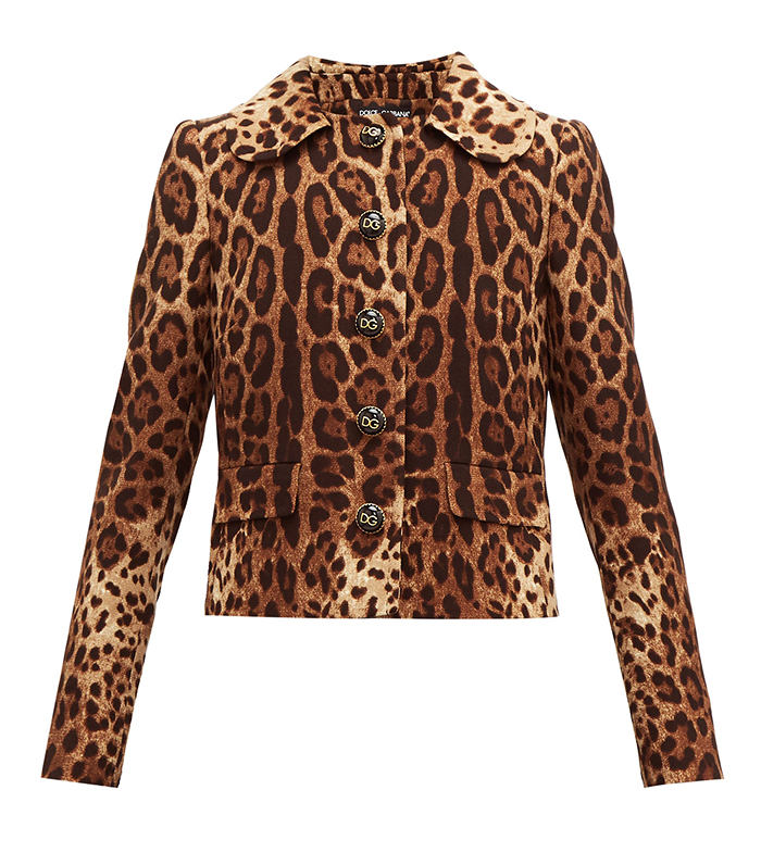 I Found the Best Leopard-Print Jackets in Time for Autumn | Who What Wear