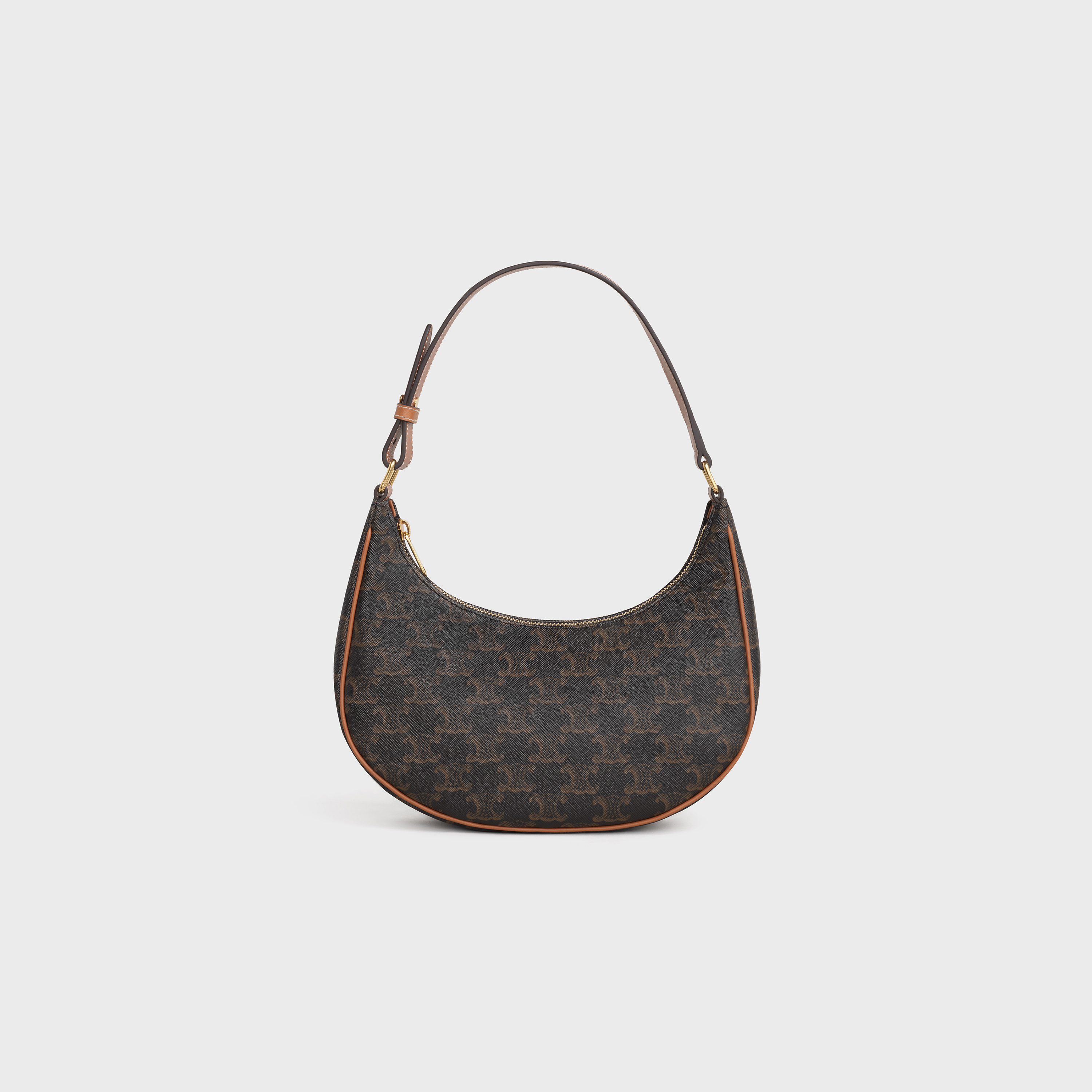 Celine Ava Bag in Triomphe Canvas and Calfskin