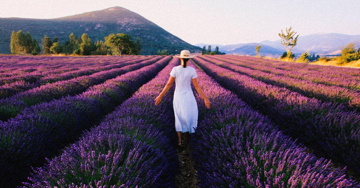 The 10 Best Lavender Perfumes That Are Instantly Soothing