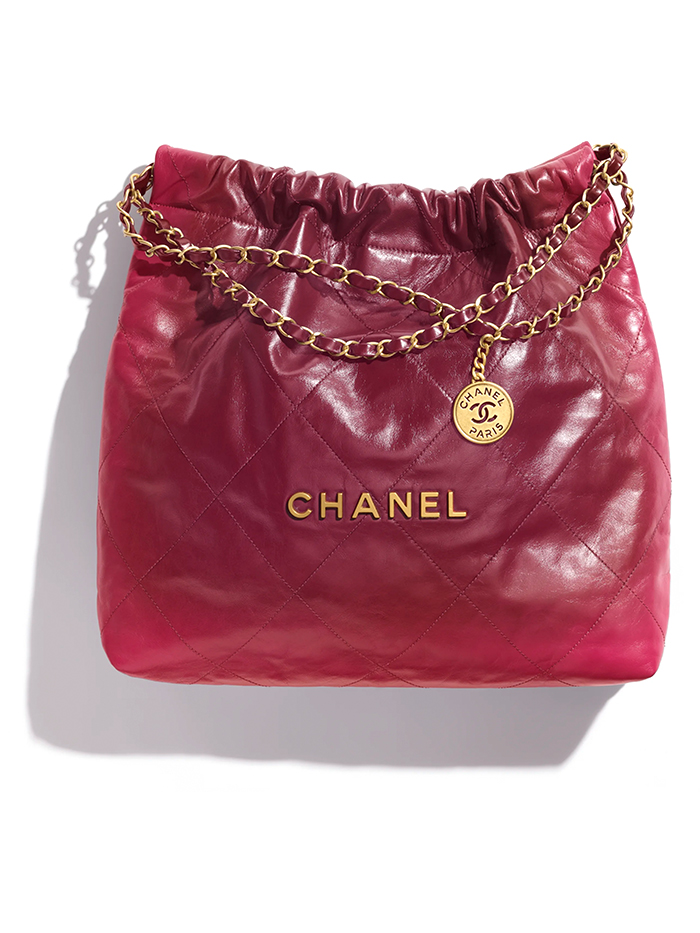 Top Brand Bags For Women Drawstring Design Luxury 22 Bag Classic